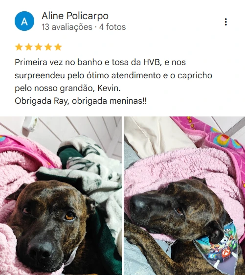 Avaliação 5 estrelas HVB