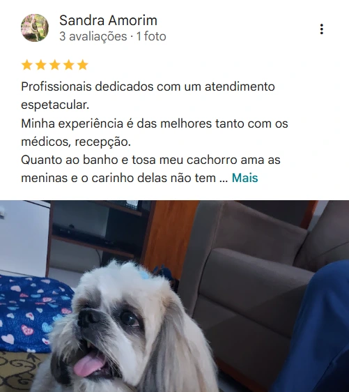 Avaliação 5 estrelas HVB