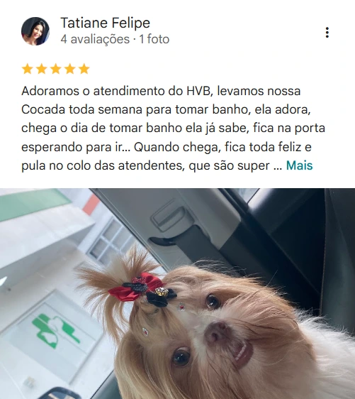 Avaliação 5 estrelas HVB