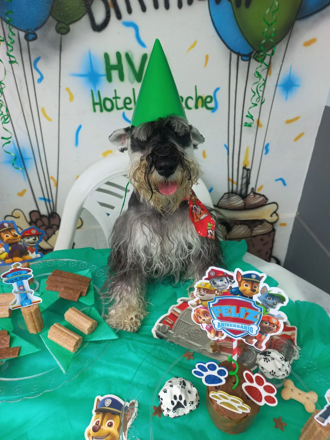 Alimentação personalizada no HVB